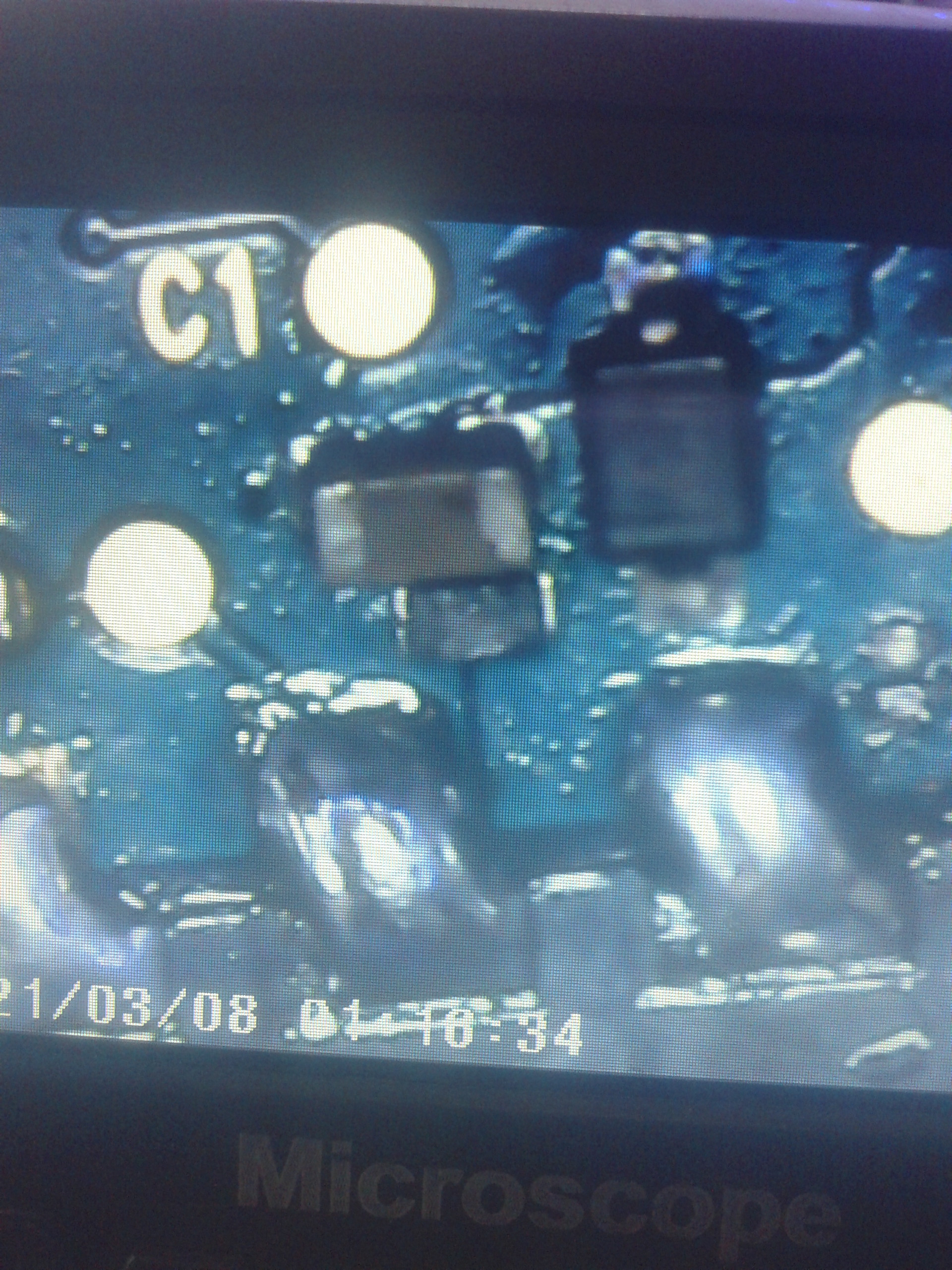 20120101-080235.jpg